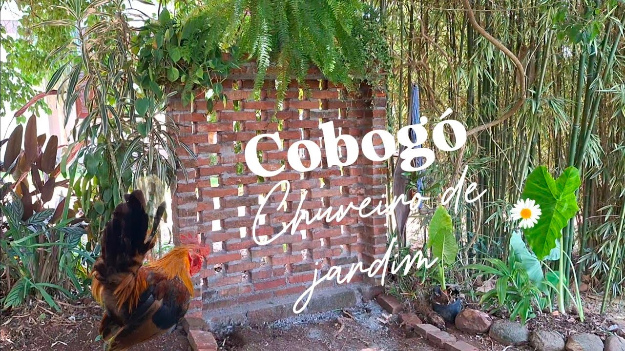 Cobogó Chuveiro jardim 🐝🐞🌱🌧