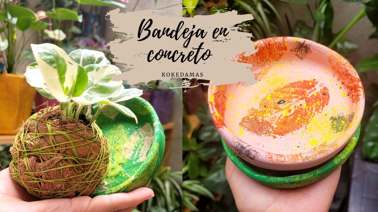 BANDEJAS EN CONCRETO para KOKEDAMA
