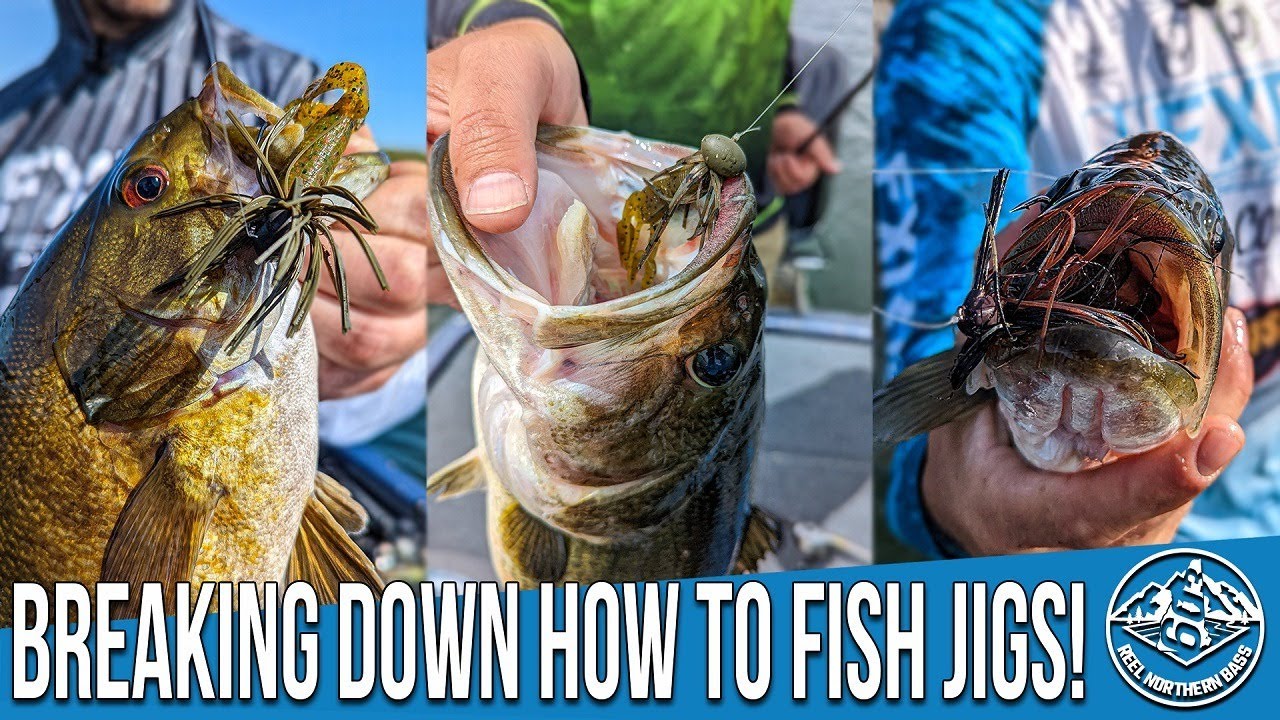 Learn To Fish Jigs! - Reel Northern Bass Talk