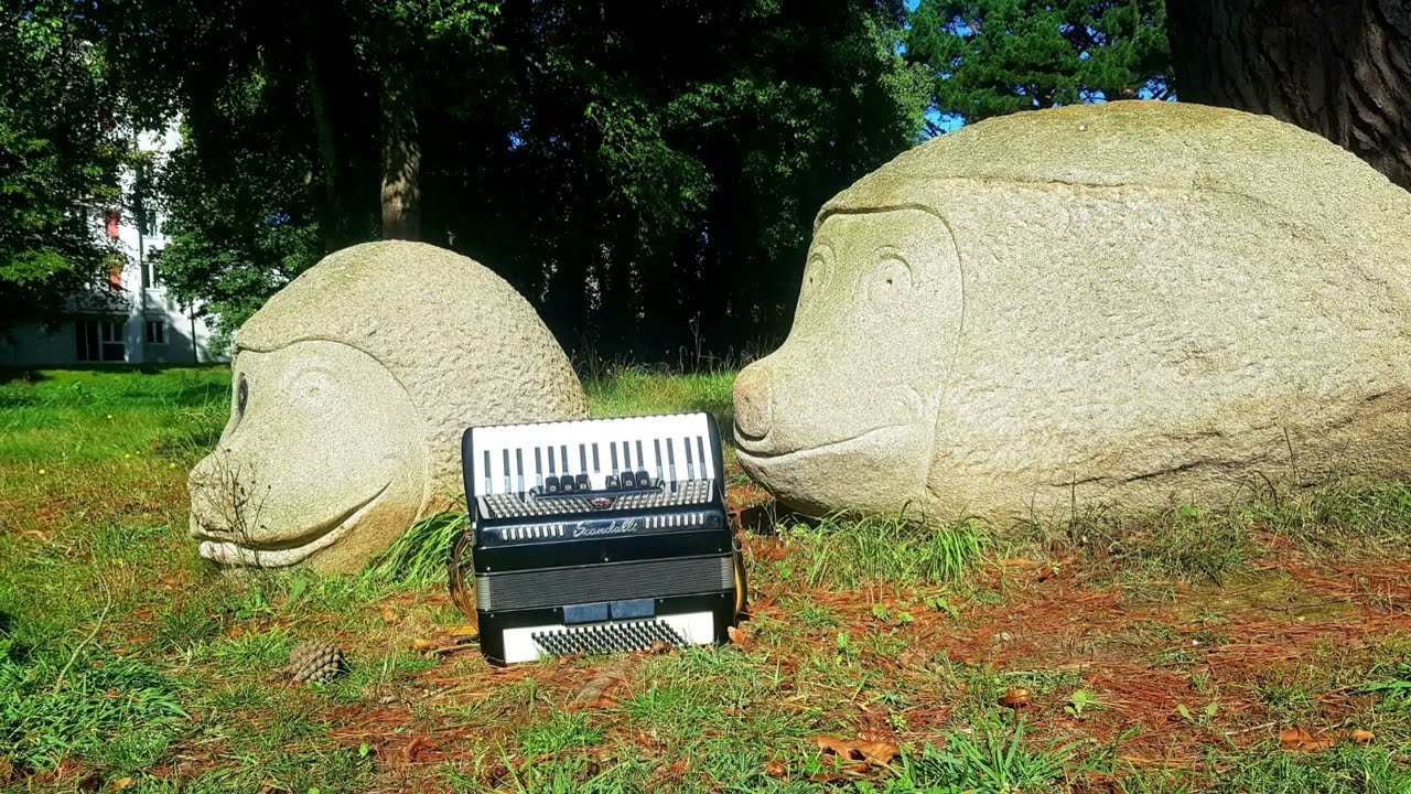 Scottish du Camion | Esperanza | Accordéon Chromatique Piano - YouTube