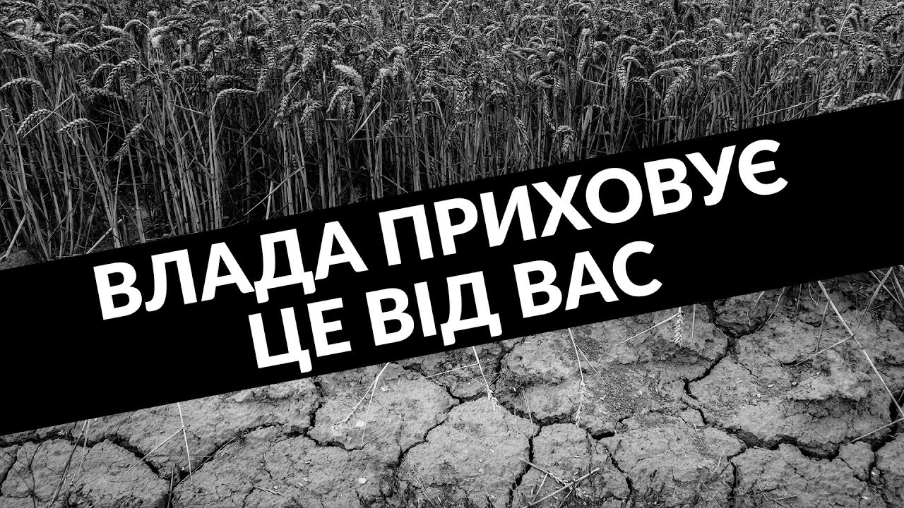 Самогубство фермера на Одещині: що трапилось? (Ар'єв про справжню драму на Півдні України)
