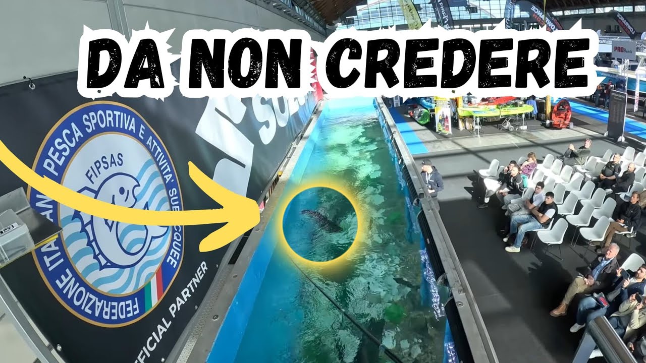 Quest'ESCA ha fatto la DIFFERENZA! Non lo avrei MAI PENSATO