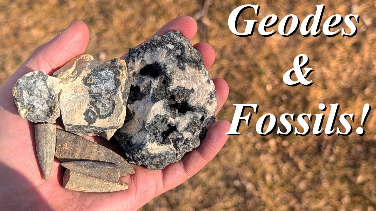 Geodes, Jurassic Squids, and Fortification Agates! Rockhounding the Prairie for Agates & Fossils!
