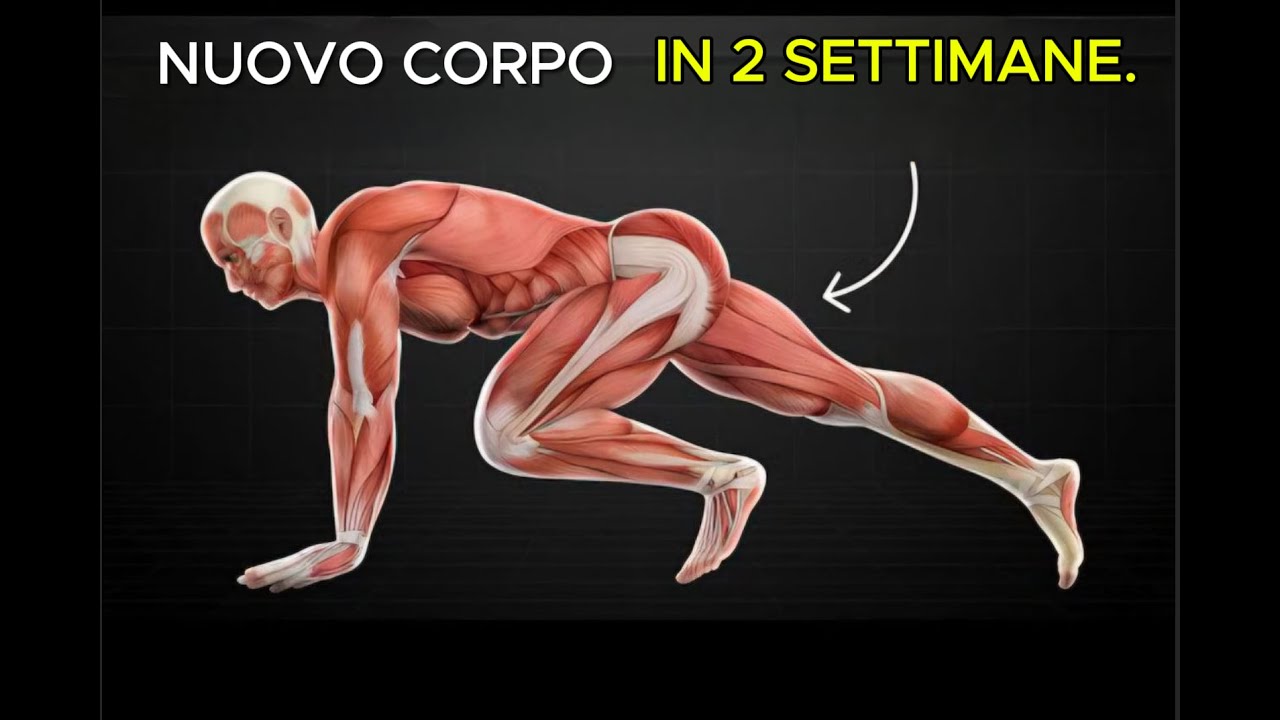 In totale 5 esercizi — e il tuo corpo non sarà più lo stesso!