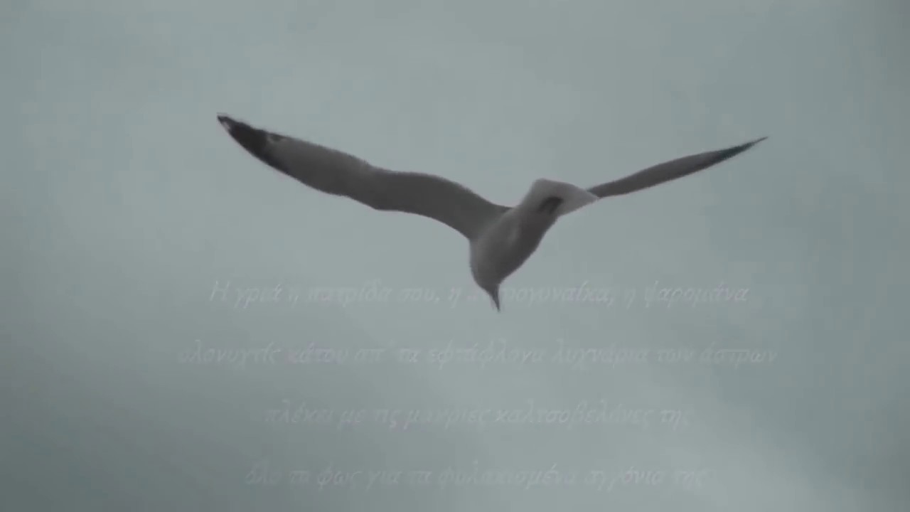 Γιάννης Ρίτσος - Φυλακισμένο Θαλασσοπούλι