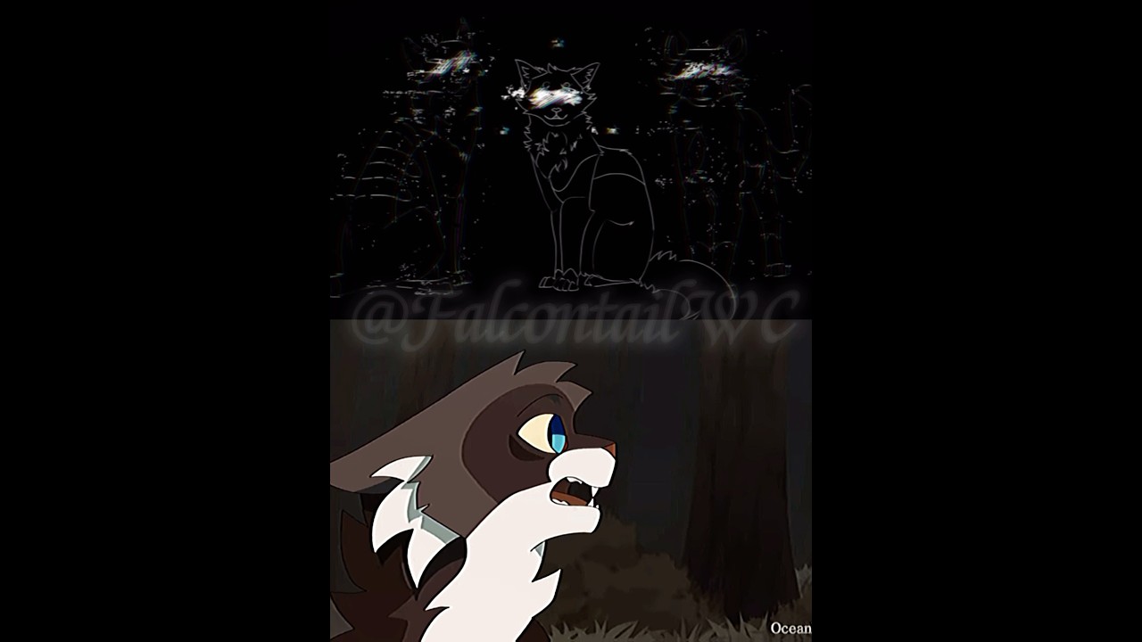Ivypool and Hawkfrost // Warrior Cats edit // 