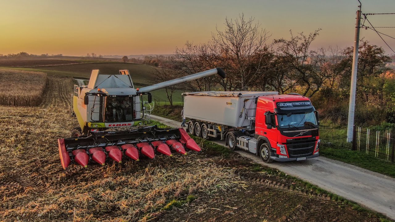 🇵🇱 Jesień W GR Ciesielski | Koszenie Kukurydzy 2020 | Claas Lexion 570 Terra Track