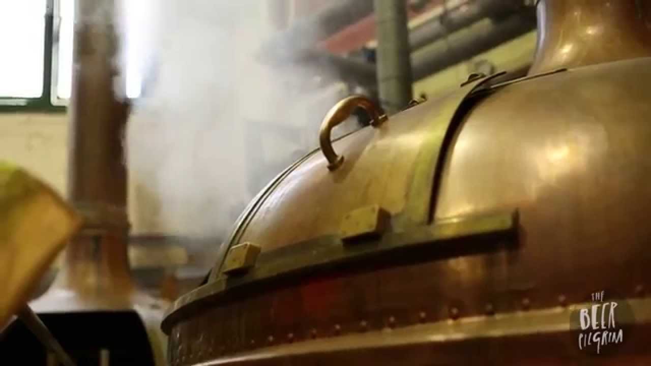 Behind the Brew - Hop Thief Series
