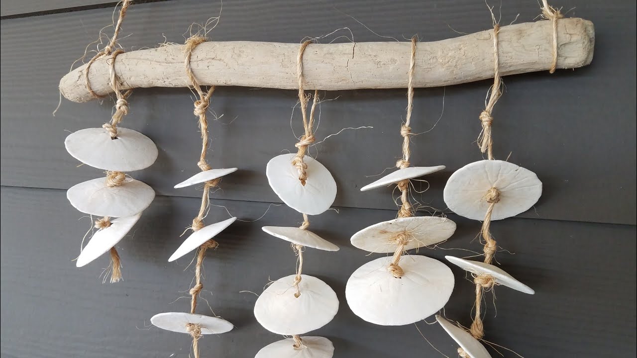 LIVE DIY Sand Dollar Home Decor Art
