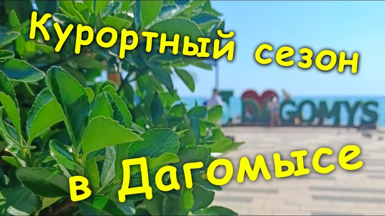 Курортный сезон в Дагомысе🌴 / Цены на пляжный инвентарь⛱ / Набережная Штеймана🤗