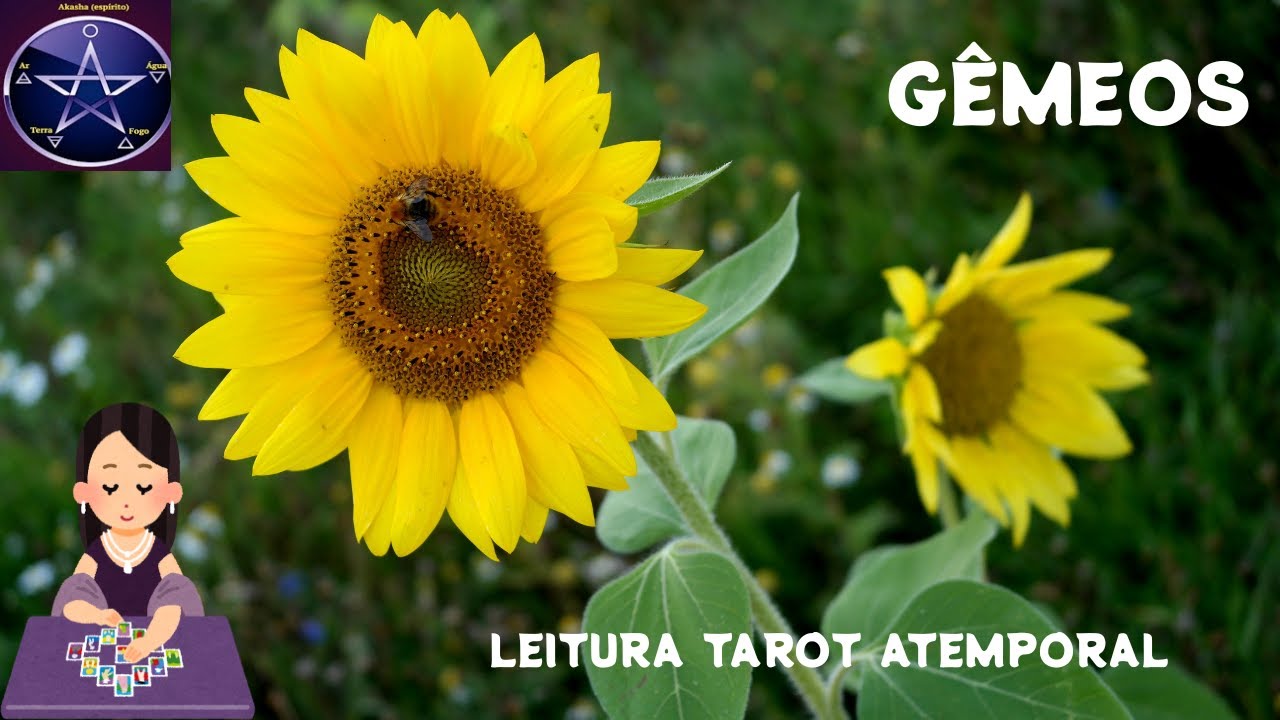 ♊GÊMEOS - CHOCADA!! A CONCRETIZAÇÃO DE MUITAS REALIZAÇÕES POSITIVAS!! UAU!!