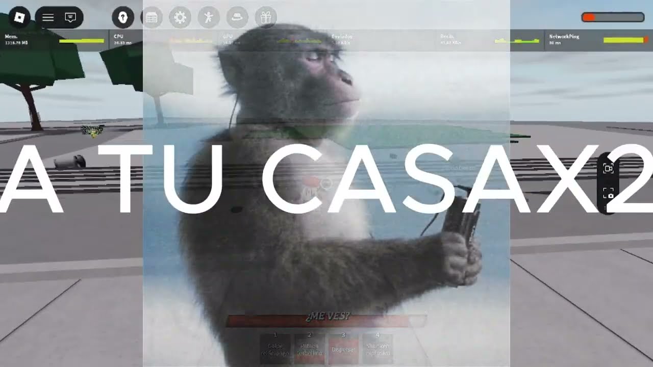 SE no.. nose