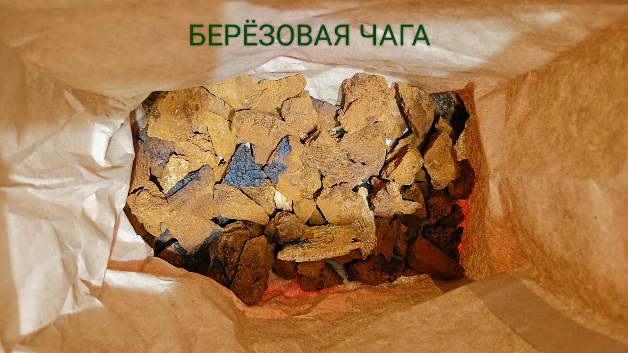 чага