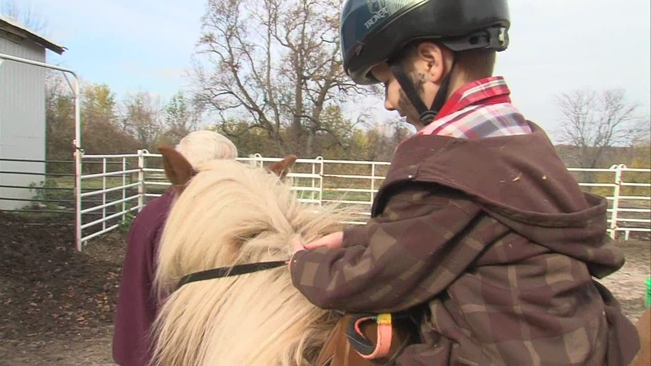 Horse Therapy Help Autistic Children