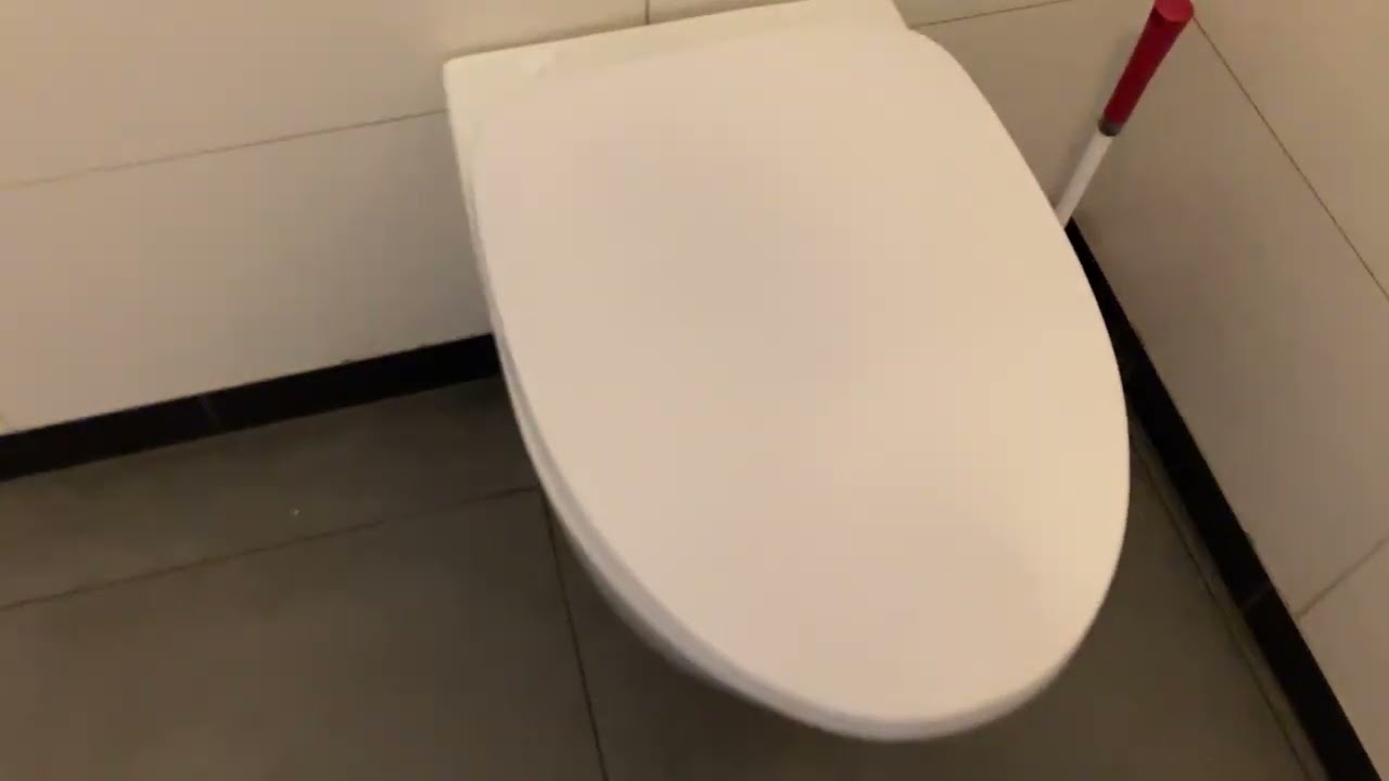 Wendy's Hamburger: Mt Eden - Male’s Customers Use Only - Toilet Flush. (NZ, Auckland) #toilet #nz