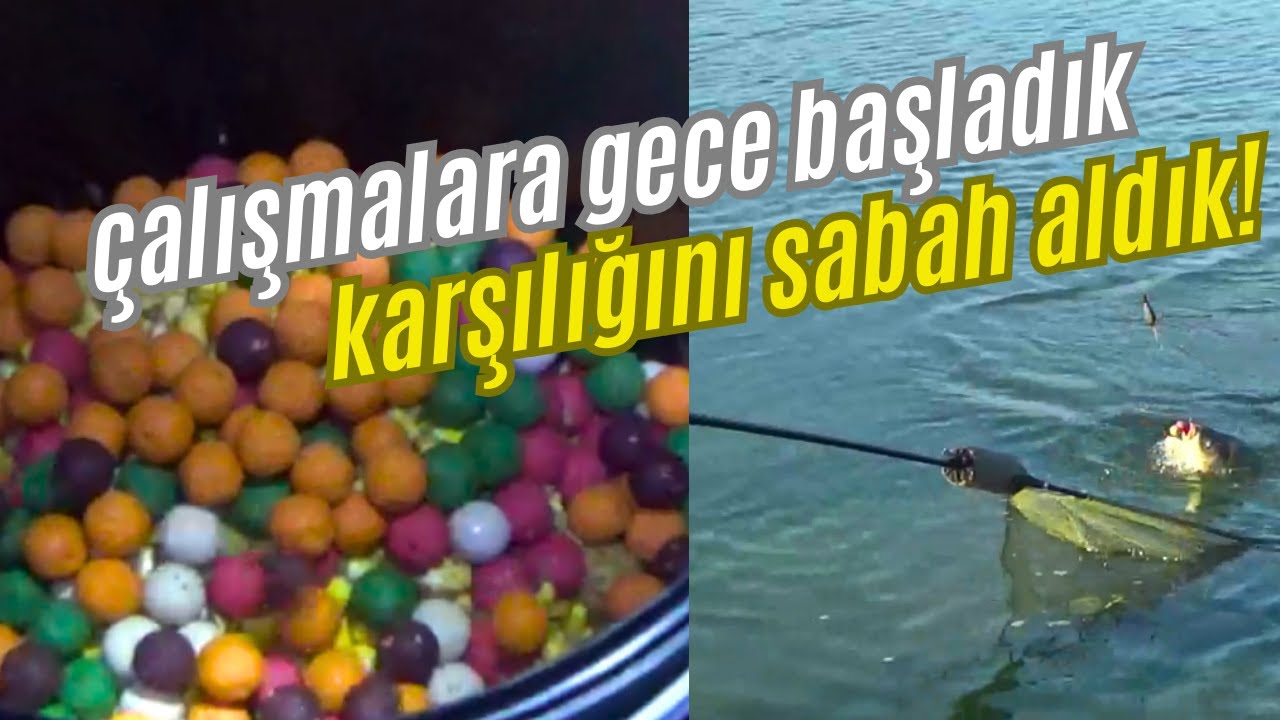 Karaidemir Kampı | 6.BÖLÜM | #sazan #kamp #balıkavı #camping #fishing #bait #carphunter