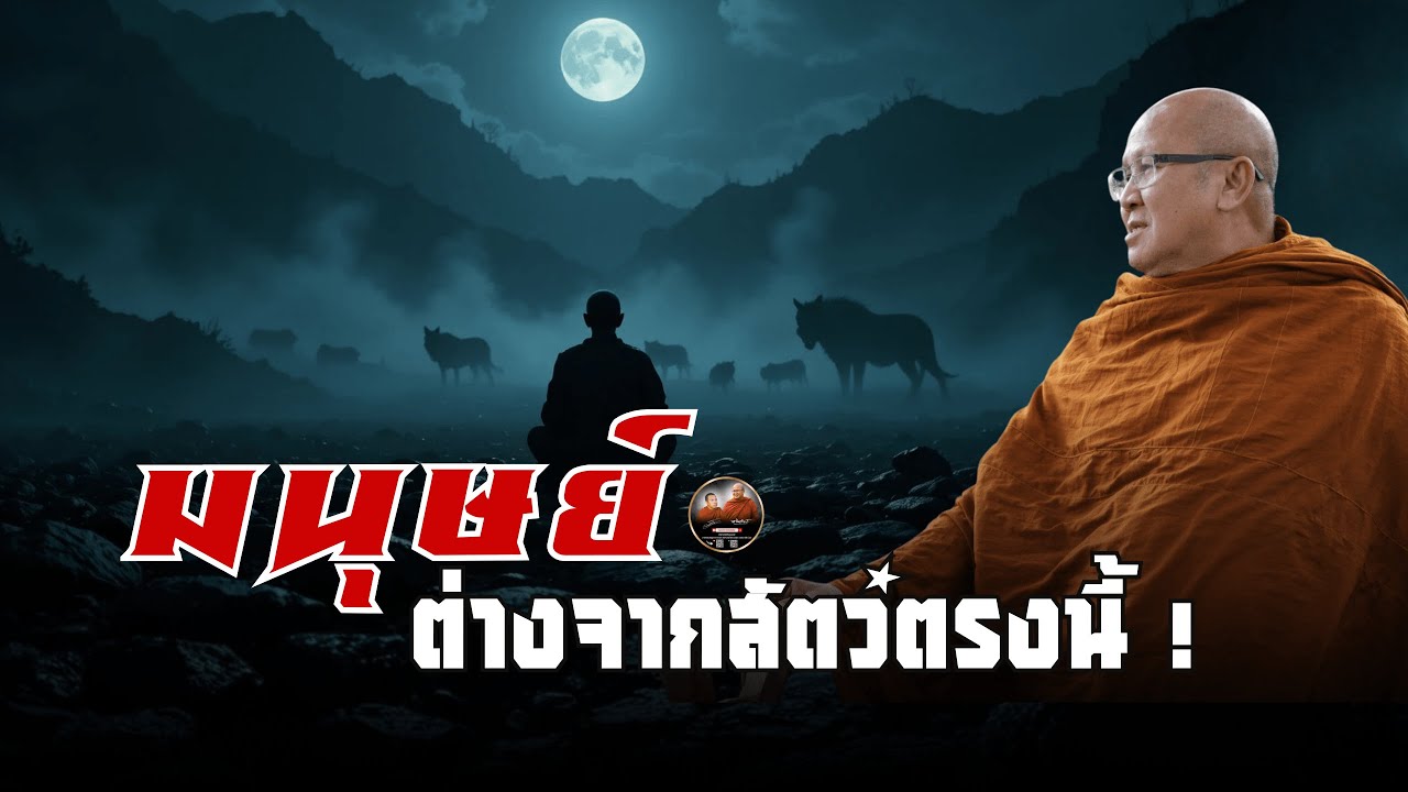 มนุษย์ ต่างจากสัตว์ตรงนี้ ! #พระสิ้นคิด #หลวงตาสินทรัพย์ 07/10/66