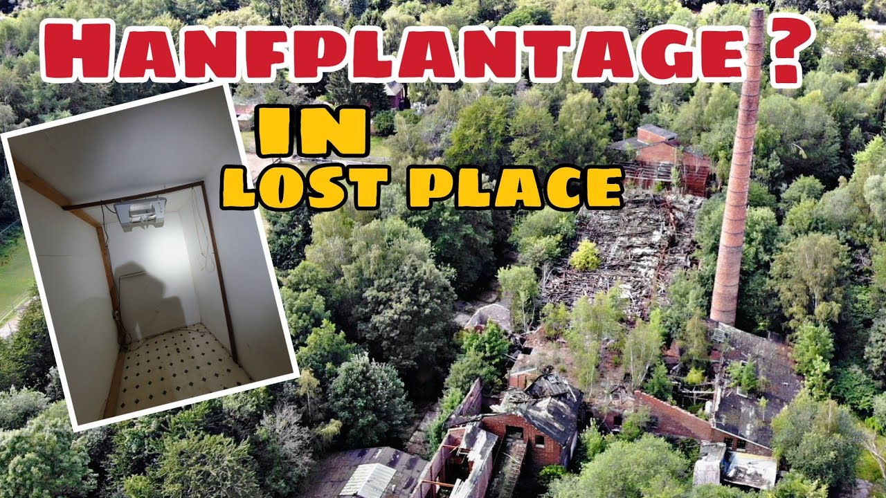 Lost Place in Burscheid Hanfplantage in Ziegelei ?  Wer treibt hier seine  Illegalen Geschäfte