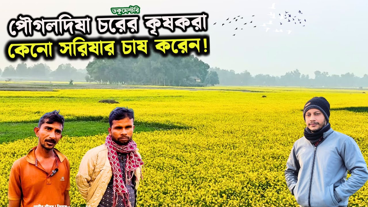 পৌগলদিষা চরে সরিষার চাষ আর ভুইটা চাষ কেনো | গ্রামীন জীবন | সিজন-০১ | পার্ট-০৯ | village farming |