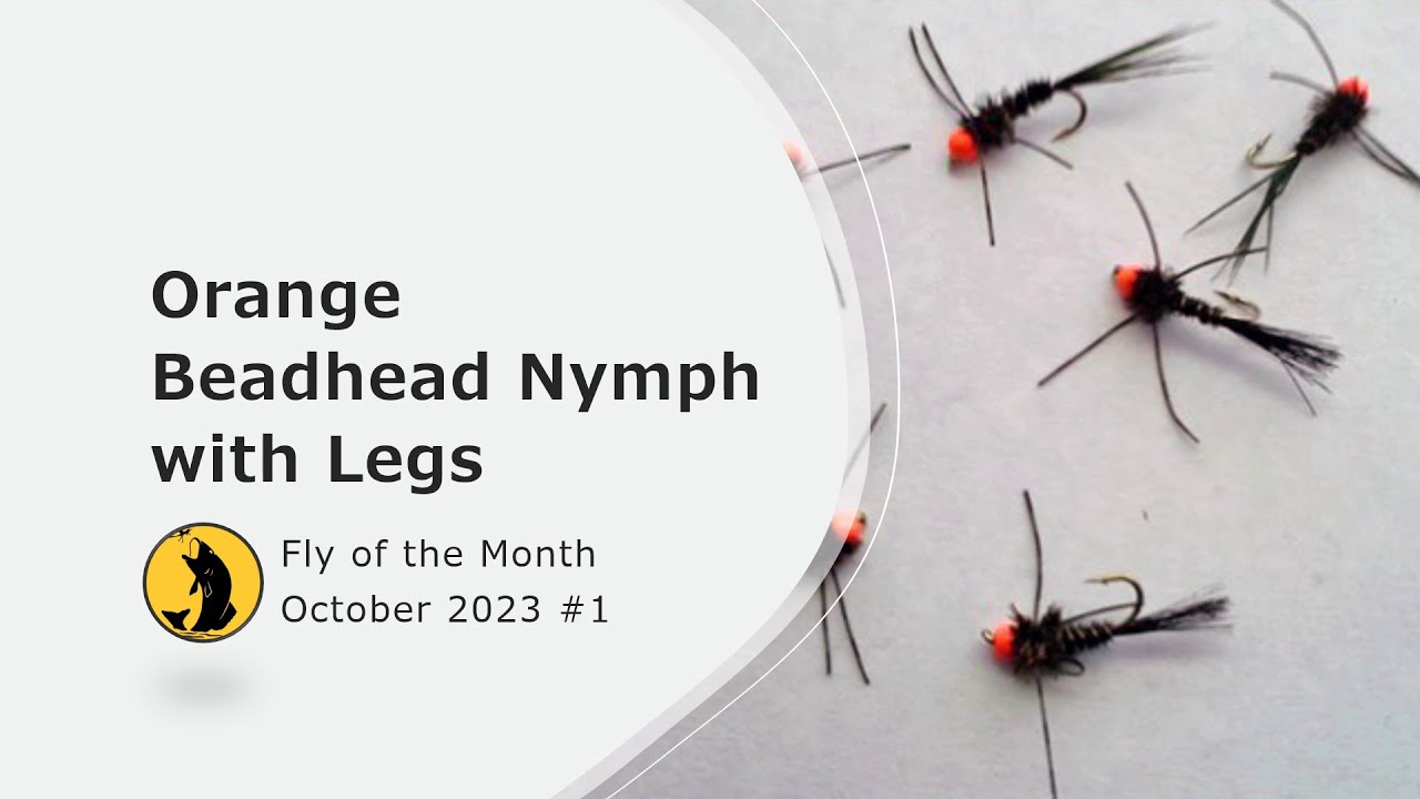 Fly of the Month, October 2023 #1 - Orange Beadhead Nymph with Legs