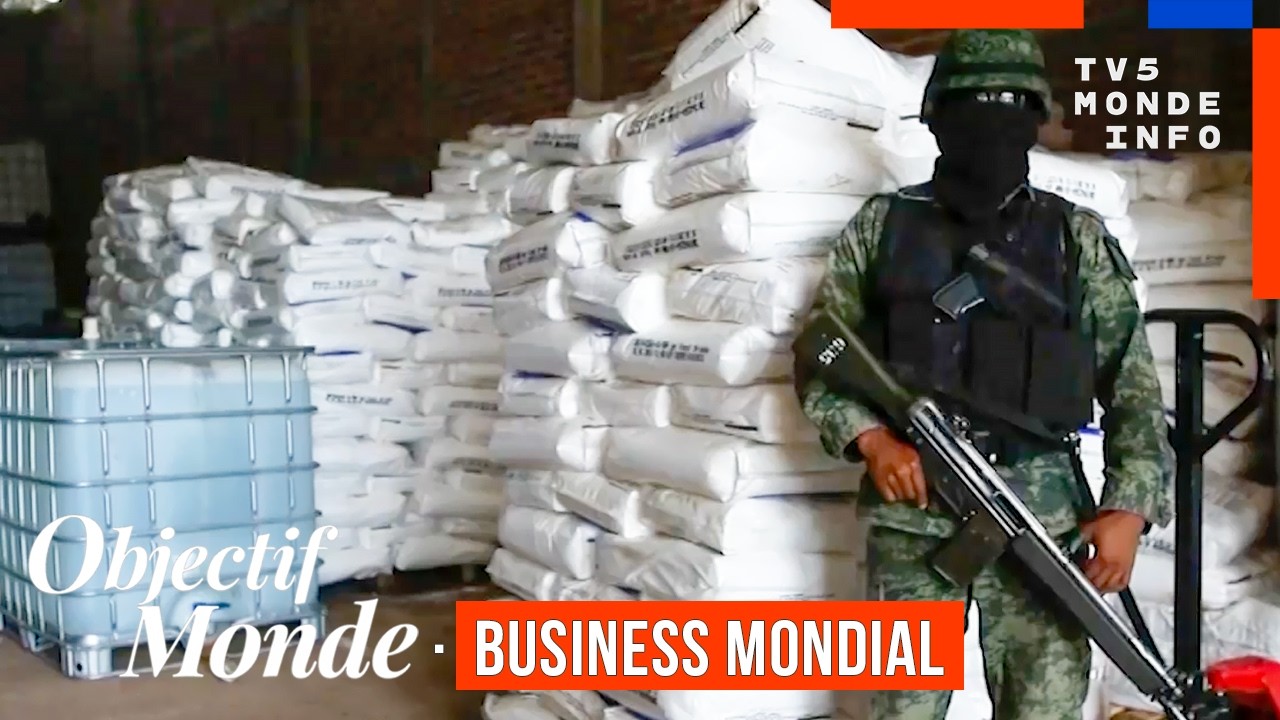 Cartels, ports et réseaux sociaux : la nouvelle carte mondiale de la drogue (Objectif Monde 2026)