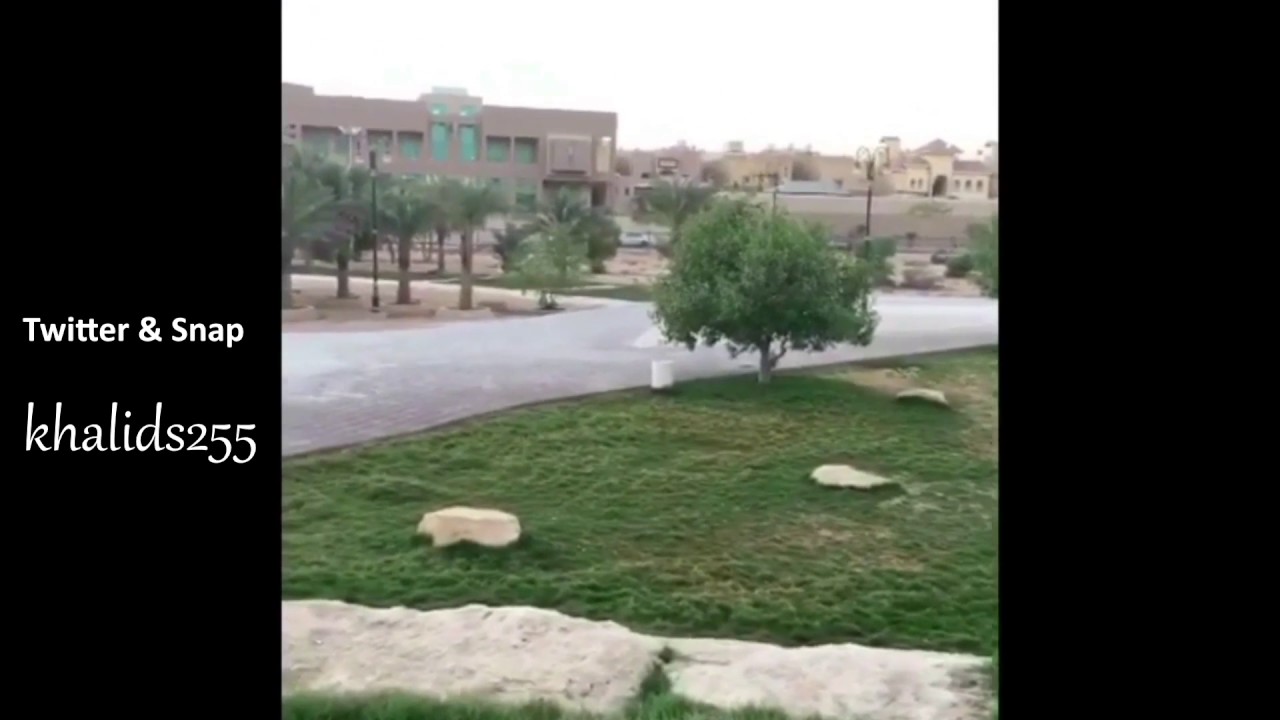 سنابات - فن ادارة المسافات - الدكتور خالد المنيف