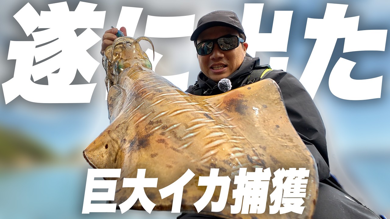 【エギング】巨大イカを釣る為に天草の磯場を歩きまくって釣りした結果&hellip;