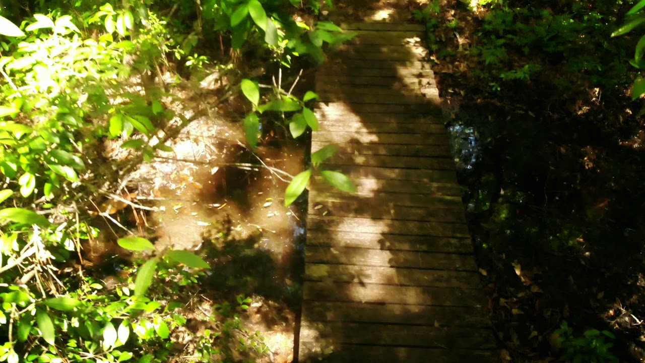 Mobile Botanical Gardens - Mobile, Alabama