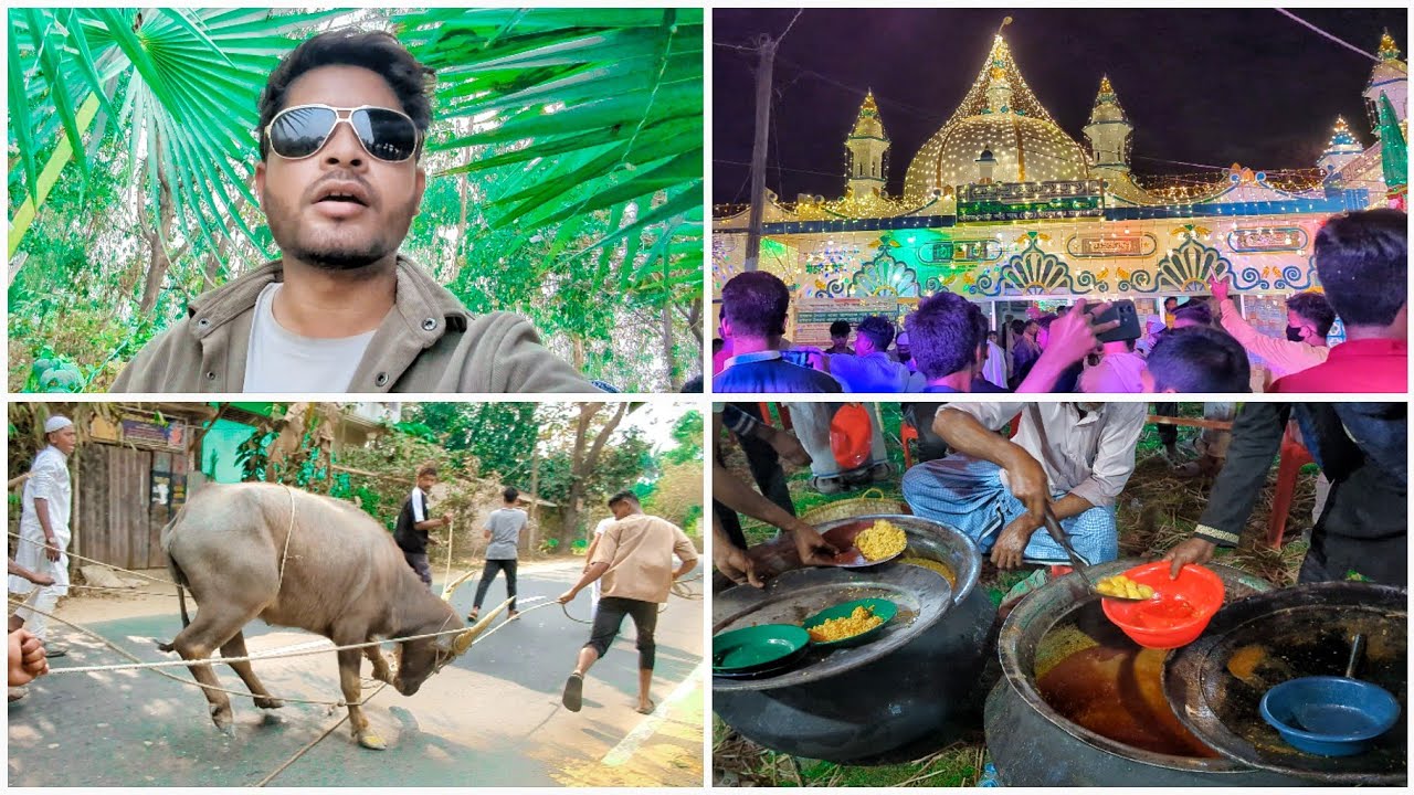 পাগল হয়ে গেলো মহিষ 🤯 আশরাফ শাহ্ বলখী আউলিয়ার ওরশ