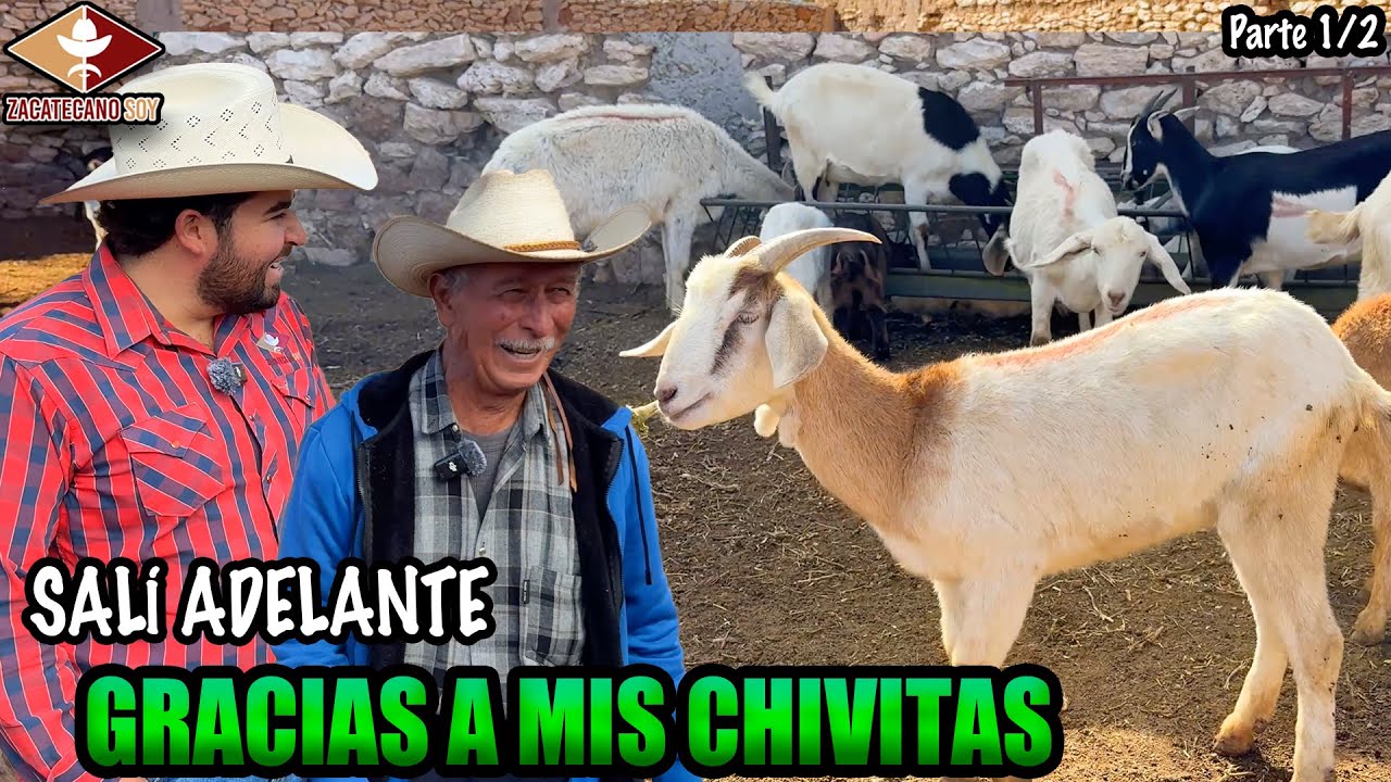 CASI 100 AÑOS DE VIDA TOMANDO LECHE DE CHIVA es el secreto de Don José