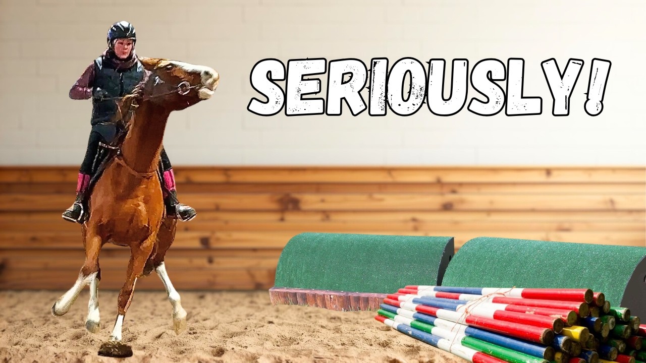 Простой способ, который я использую, чтобы исправить пугливость лошади (исправлю за один сеанс!)