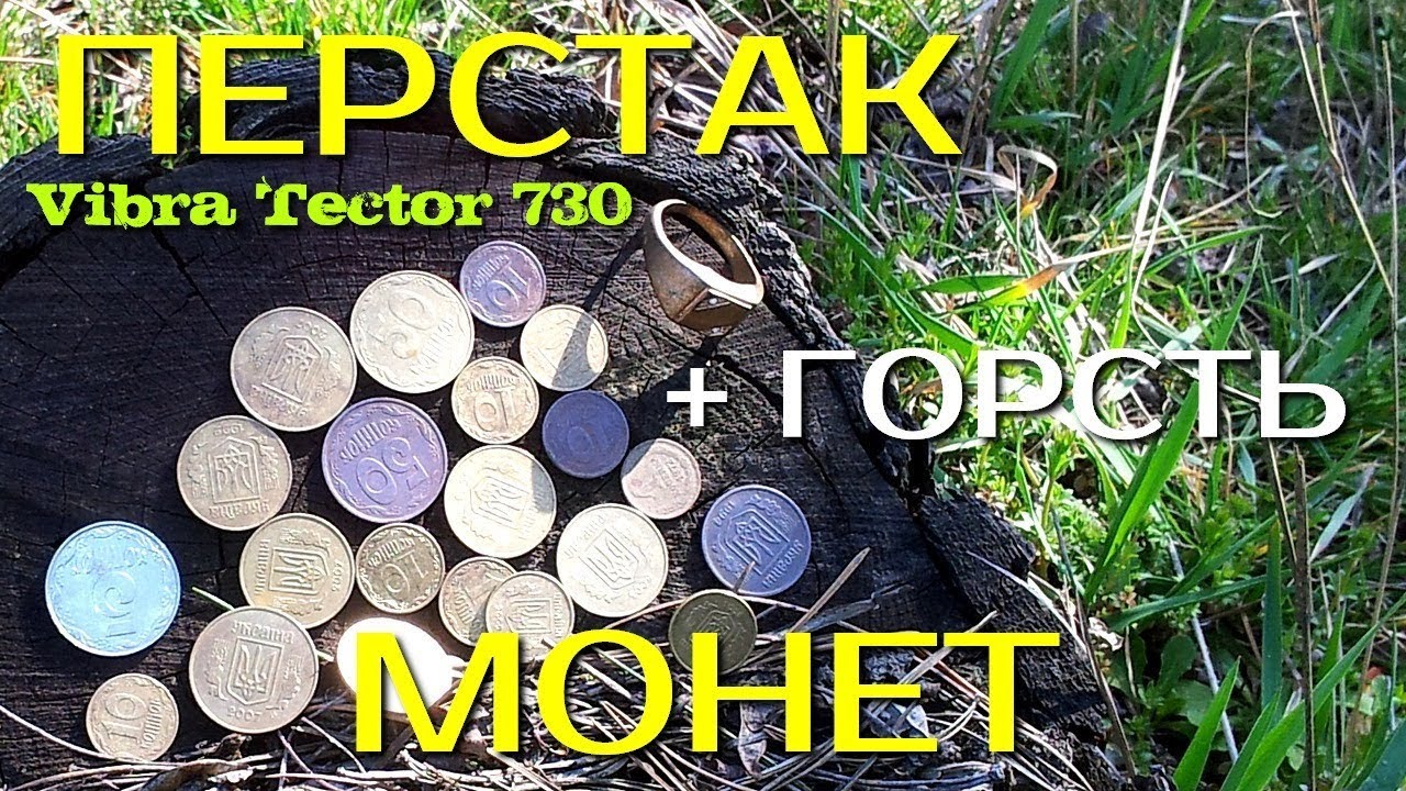 Перстень + горсть монет! Vibra Tector 730. Пляжный ассортимент! Золотой Трофей!