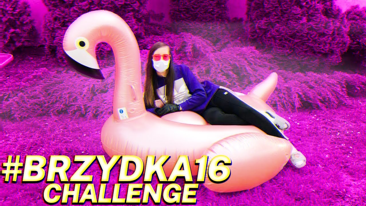 ROKCIA #BRZYDKA16CHALLENGE