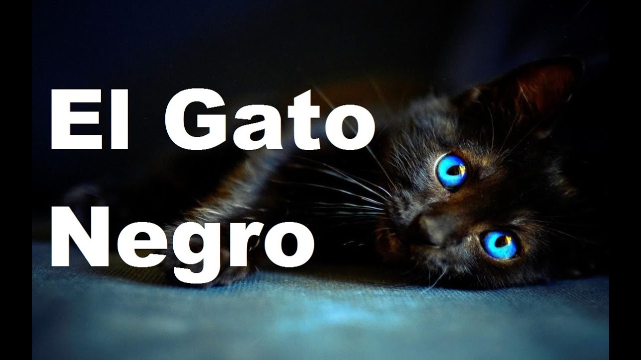 El Gato Negro, origen de la superstición e historia