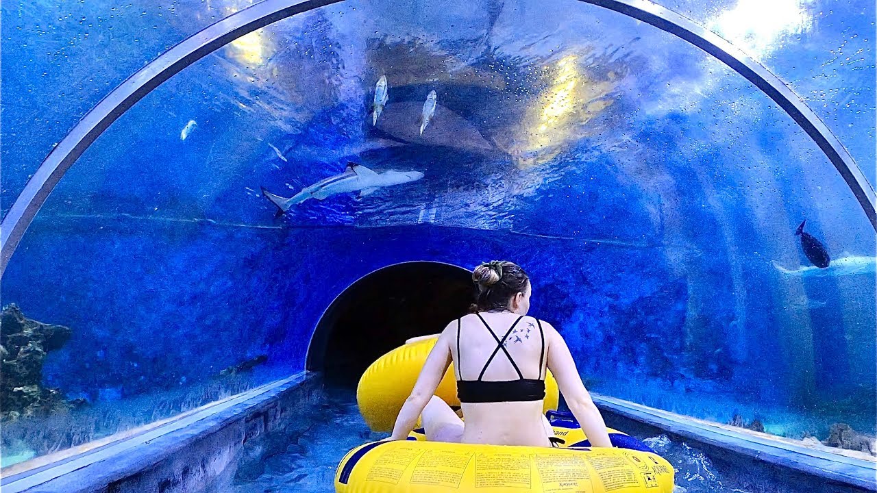 Shark Slide at Aquapark Reda in Poland