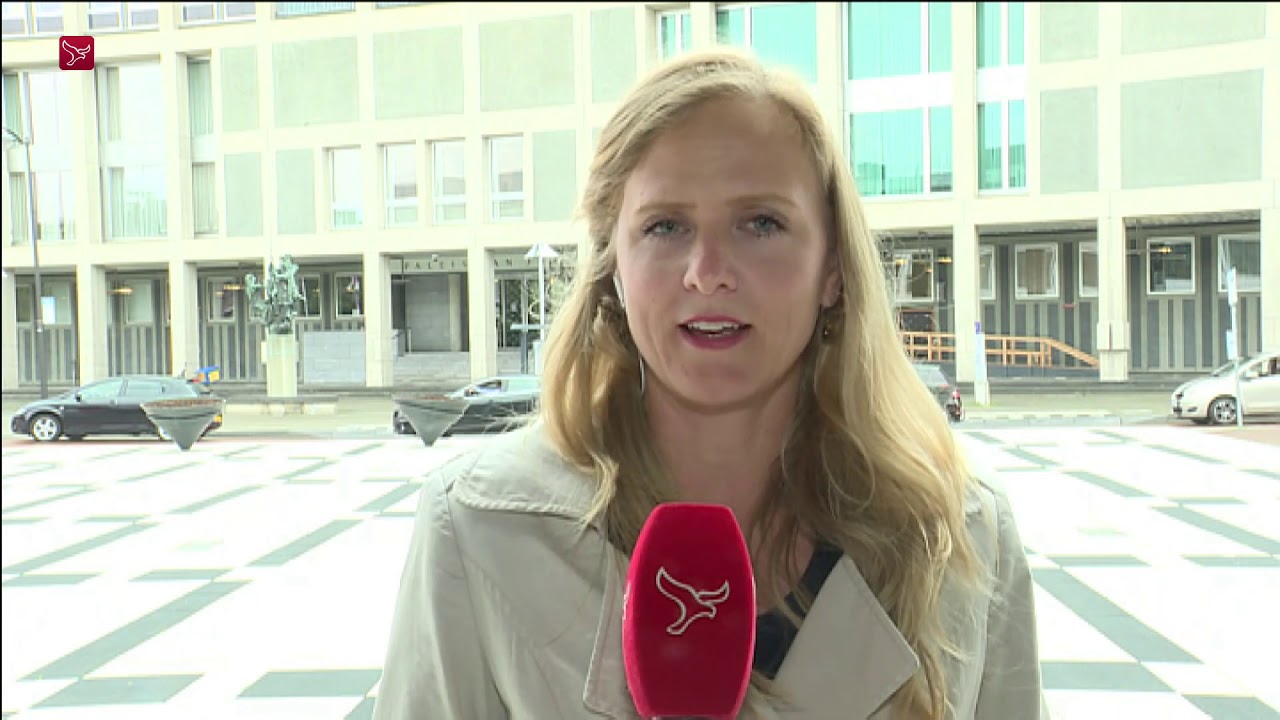 OM eist opnieuw 28 jaar en tbs met dwangverpleging tegen Michael P.
