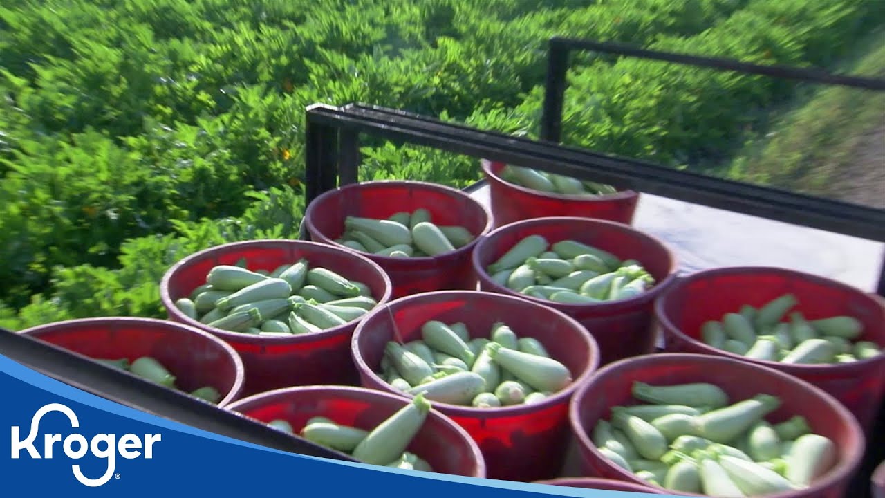 Ruhlig Farms | Kroger Partners | Kroger