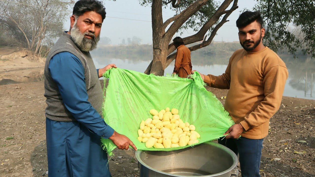 Aloo Ka Halwa | Unique And yummy Aloo Ka Halwa | Mubarak Ali | Tour And Tasta