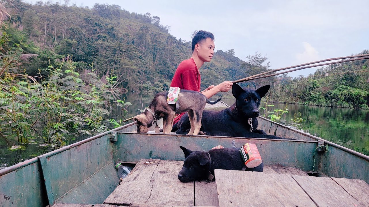 The dogs and the man went fishing at the lake.