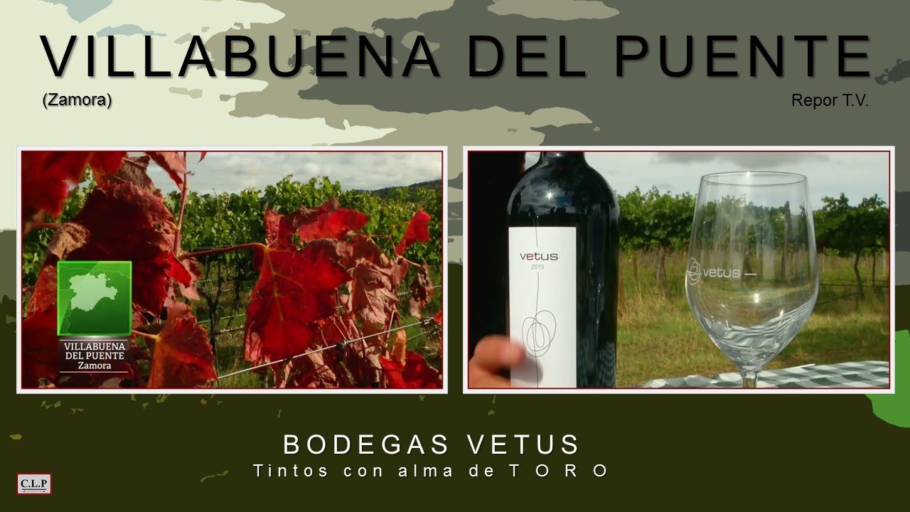 Villabuena del Puente (Zamora). Vinos con alma de Toro