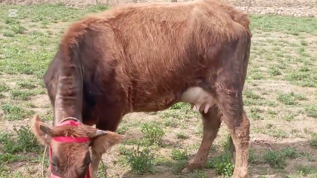 Стоп⛔стоп