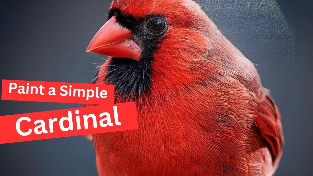 How to Paint a Simple Cardinal by Krist Eaton