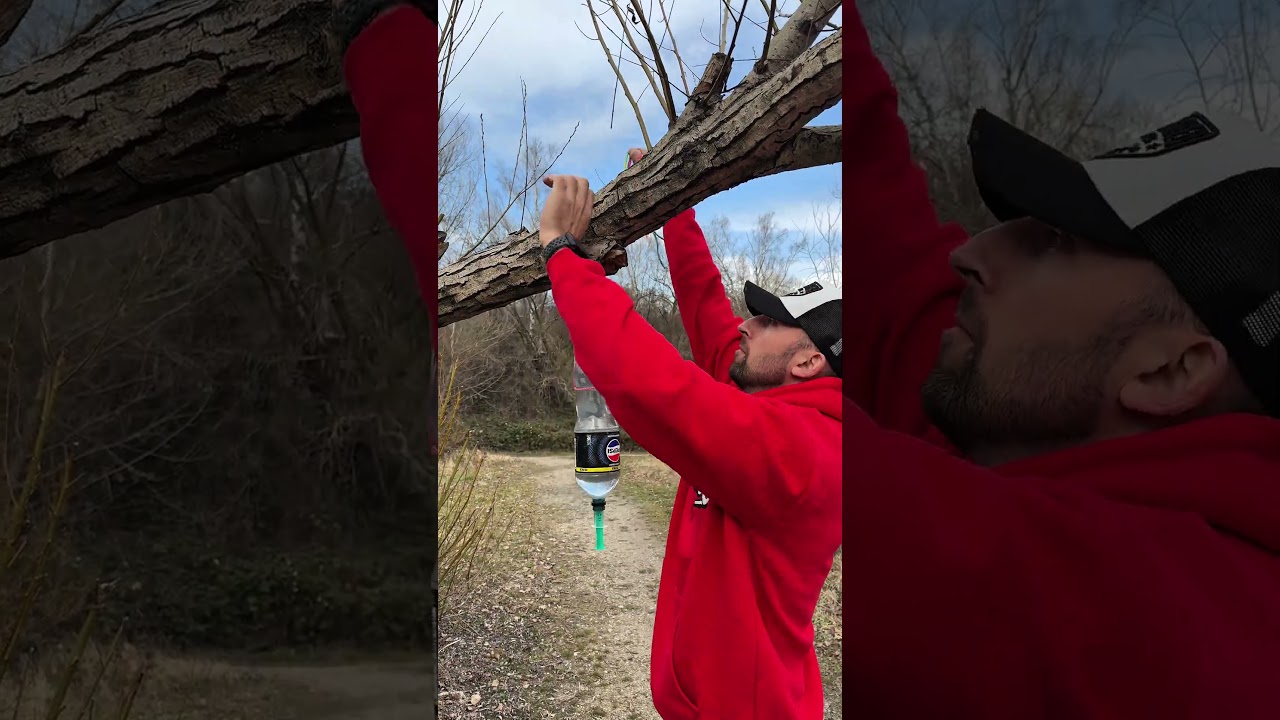 Life Hack in the Wild 🌲🔥 | DIY Bottle Sink #outdoors #survival #camping #bushcraft #lifehack