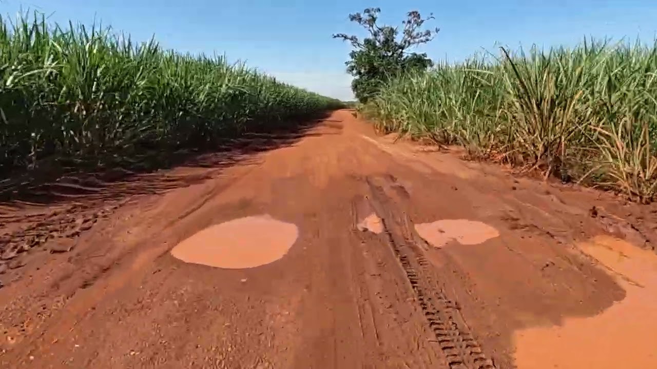 15 de fevereiro de 2026