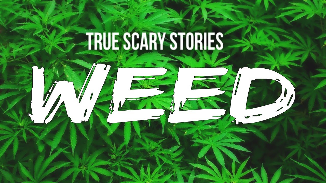True Scary Stories: WEED