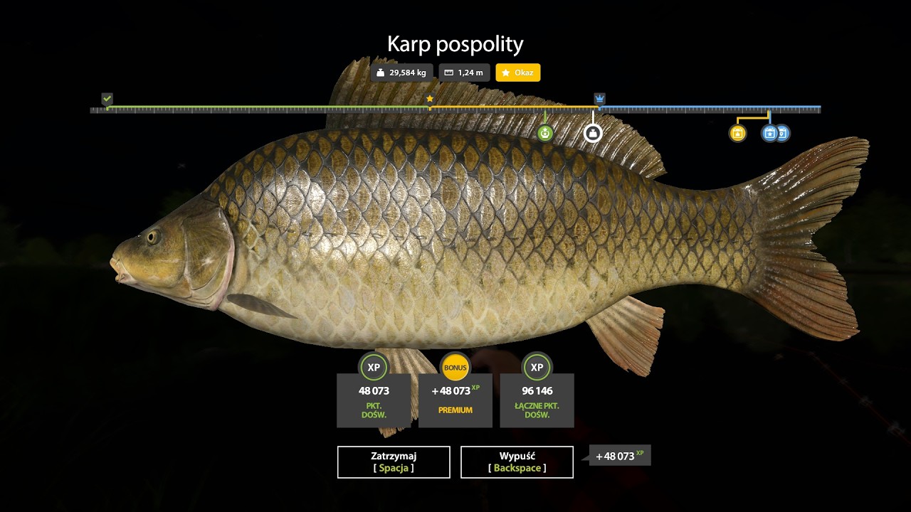 Russian Fishing 4 Common Carp Trophy - Amber Lake