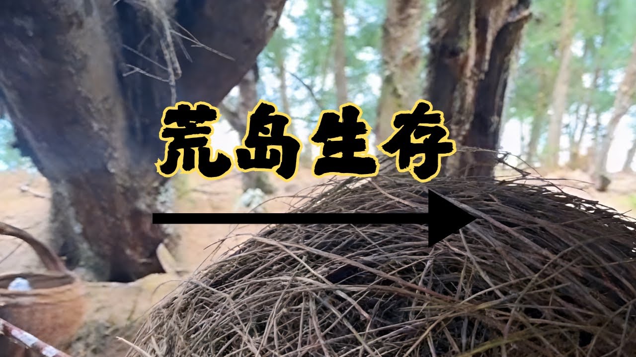 荒岛生存极限挑战户外流浪求生的终极考验🌊# 野外生存 #流浪 #户外 #荒岛生存