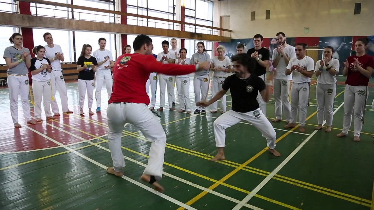 Sunday final roda. O MACHO QUE DIACHO E ISSO 5 Mestre Tico