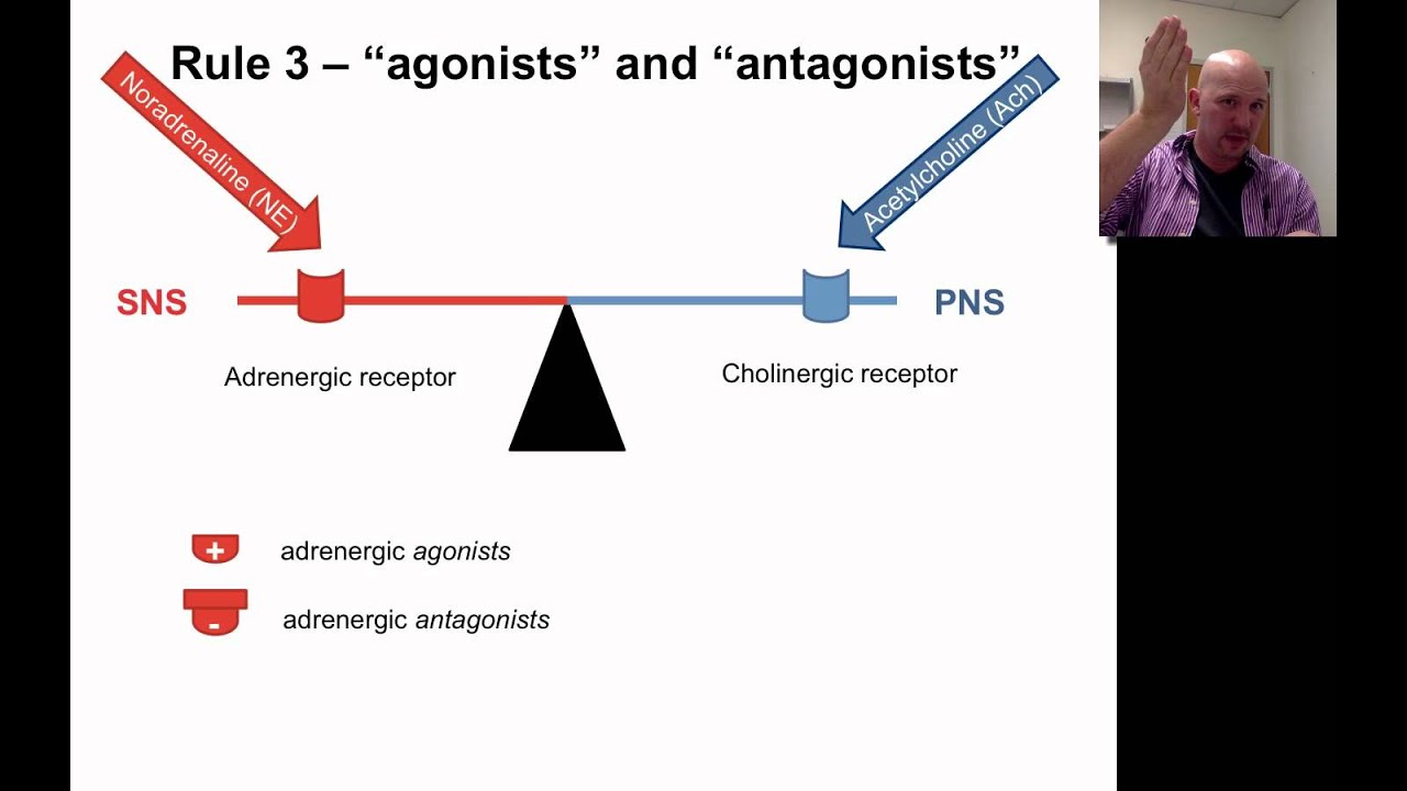 The Autonomic Nervous System for Paramedics