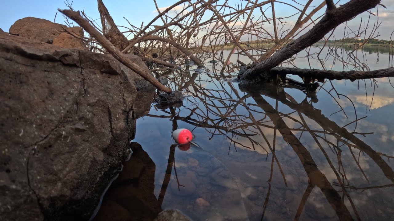 Tucunaré gigante traíra gigantesca se tá maluco Pescaria no Rio grande cidade Mira Estrela